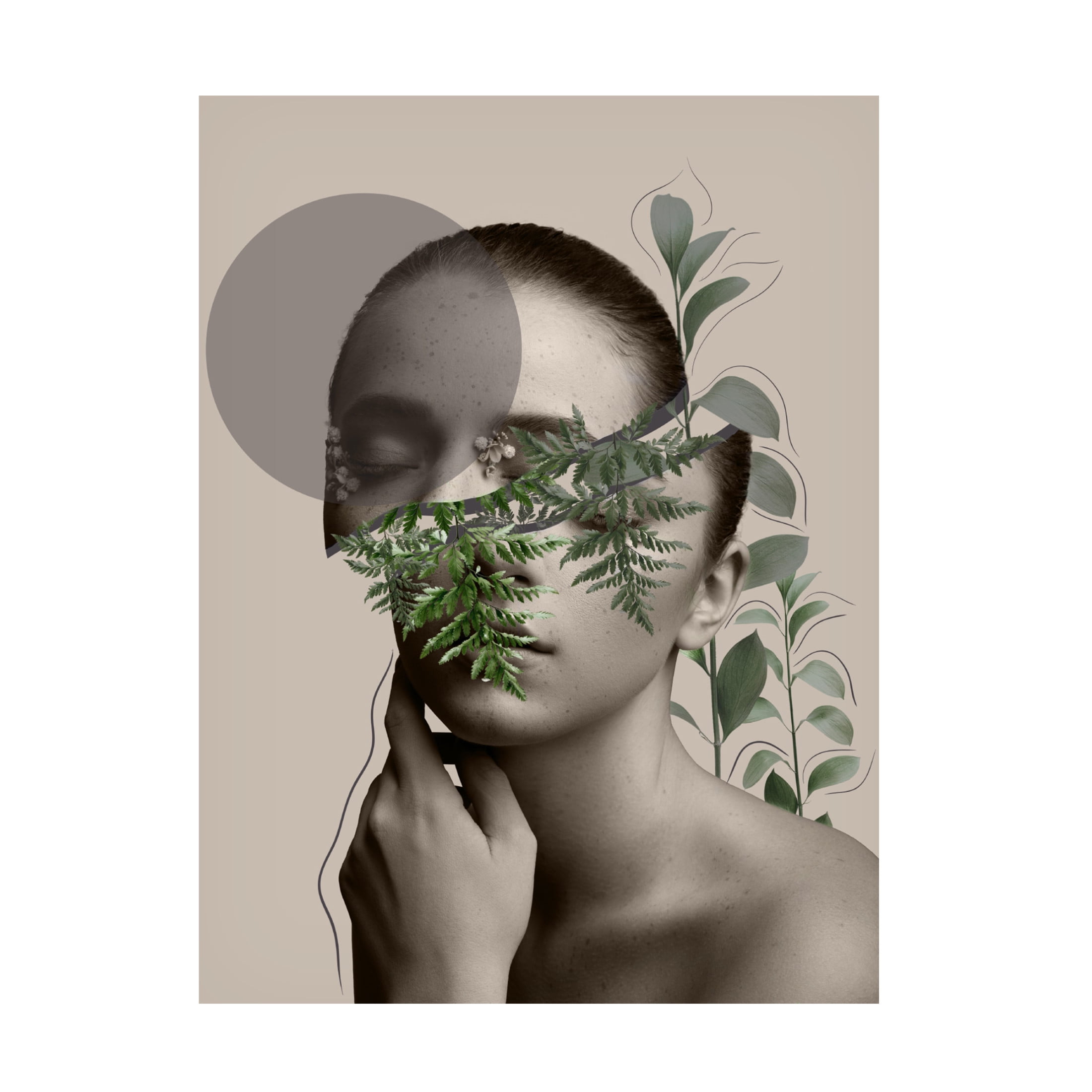 Trademark Fine Art Leila Lili Collection Creative Art Series Canvas Wall Art