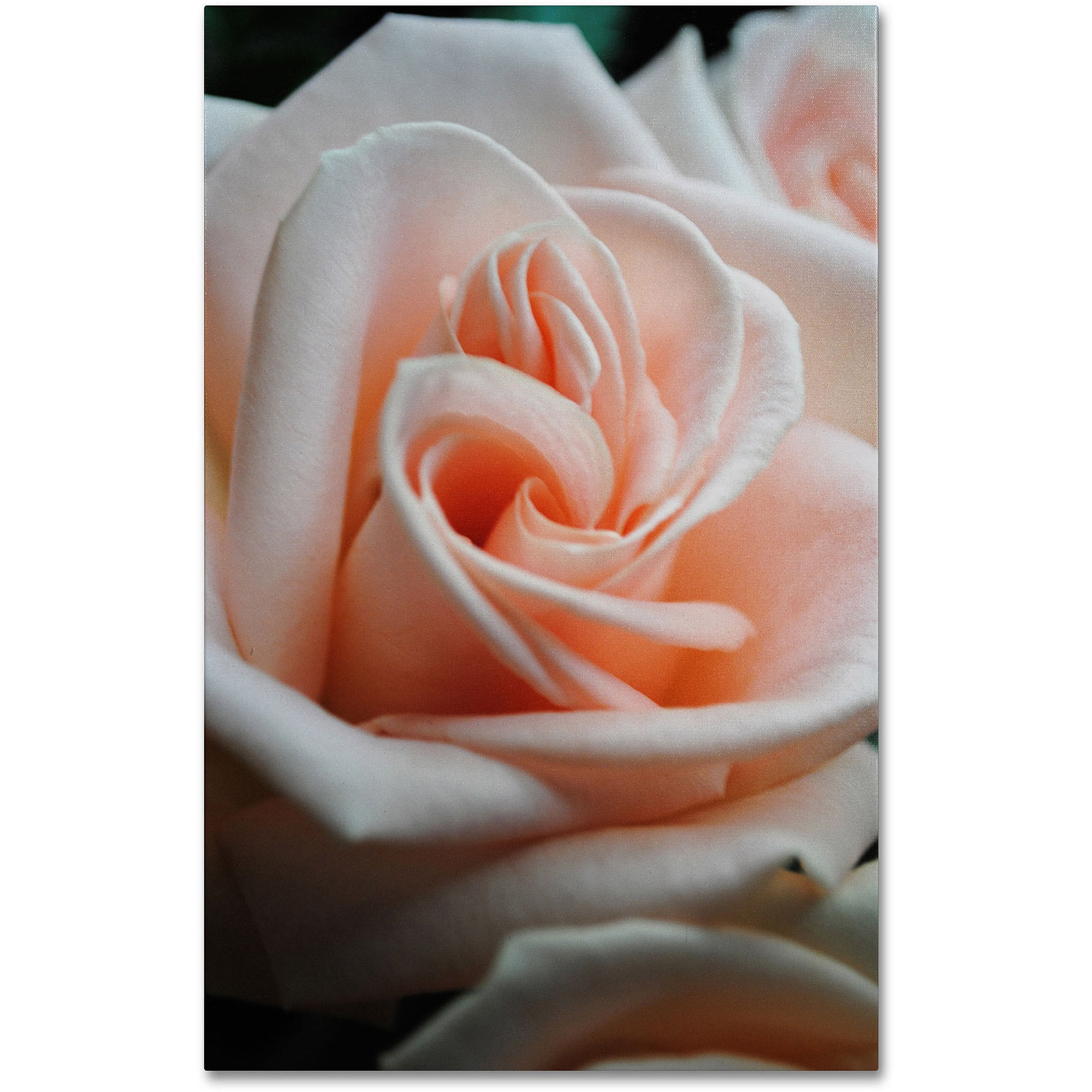 Trademark Fine Art "Leilani" Canvas Art by Monica Fleet