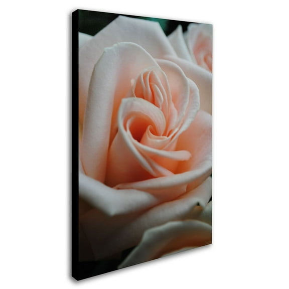 Trademark Fine Art "Leilani" Canvas Art by Monica Fleet