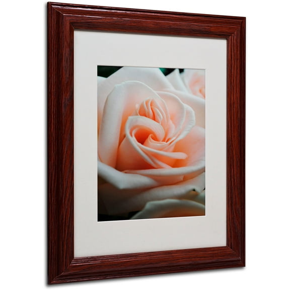 Trademark Fine Art "Leilani" by Monica Fleet, Wood Frame