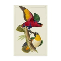 Trademark Fine Art 'Lemaire Parrots I' Canvas Art by C.L. Lemaire
