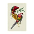 thumbnail image 1 of Trademark Fine Art 'Lemaire Parrots III' Canvas Art by C.L. Lemaire, 1 of 4