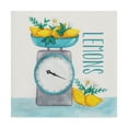 thumbnail image 1 of Trademark Fine Art 'Lemon Scale II' Canvas Art by Gabrielle McClure, 1 of 4