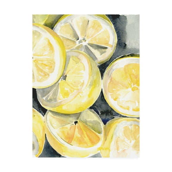 Trademark Fine Art 'Lemon Slices I' Canvas Art by Jennifer Paxton Parker