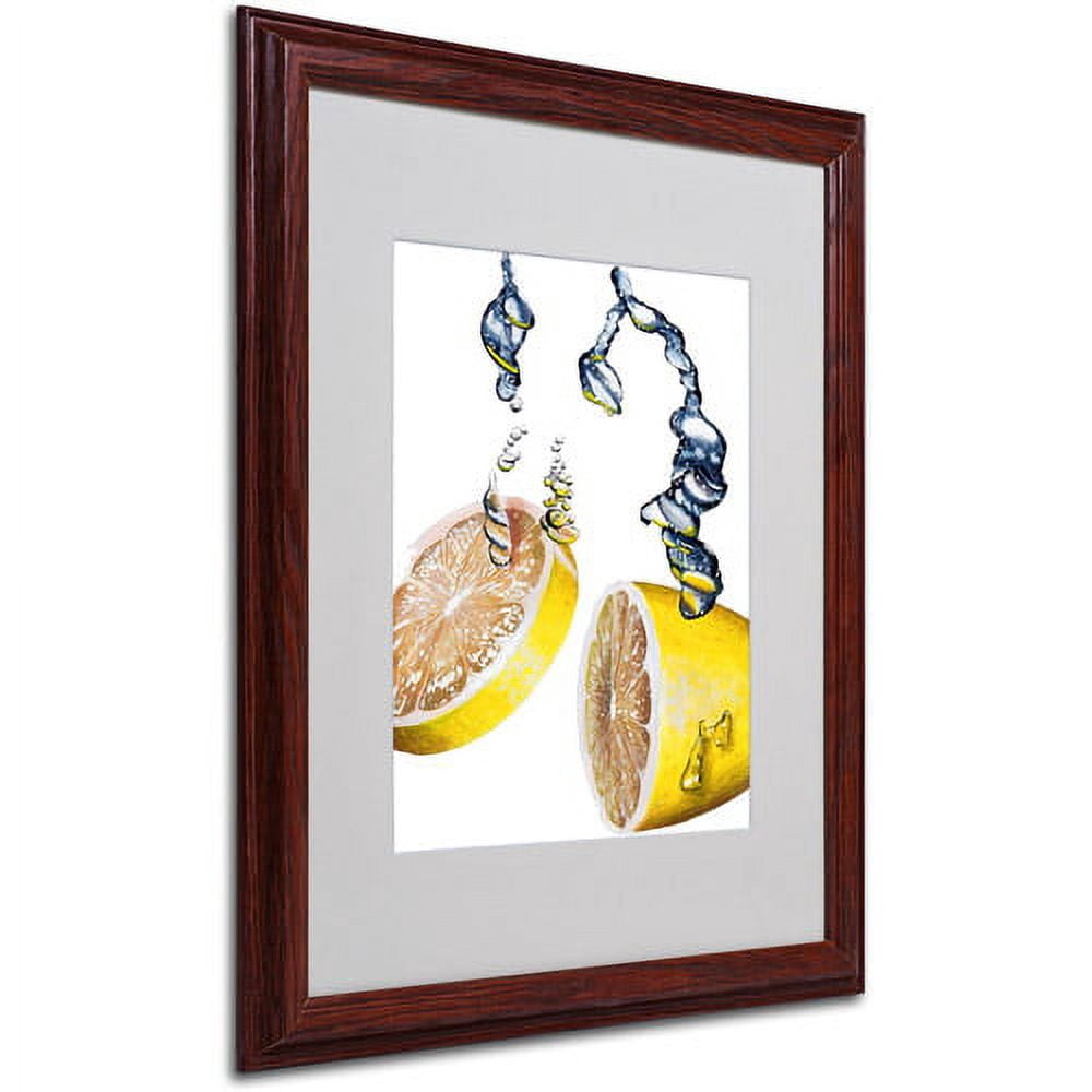 Trademark Fine Art "Lemon Splash II" Framed Matted Art by Roderick Stevens