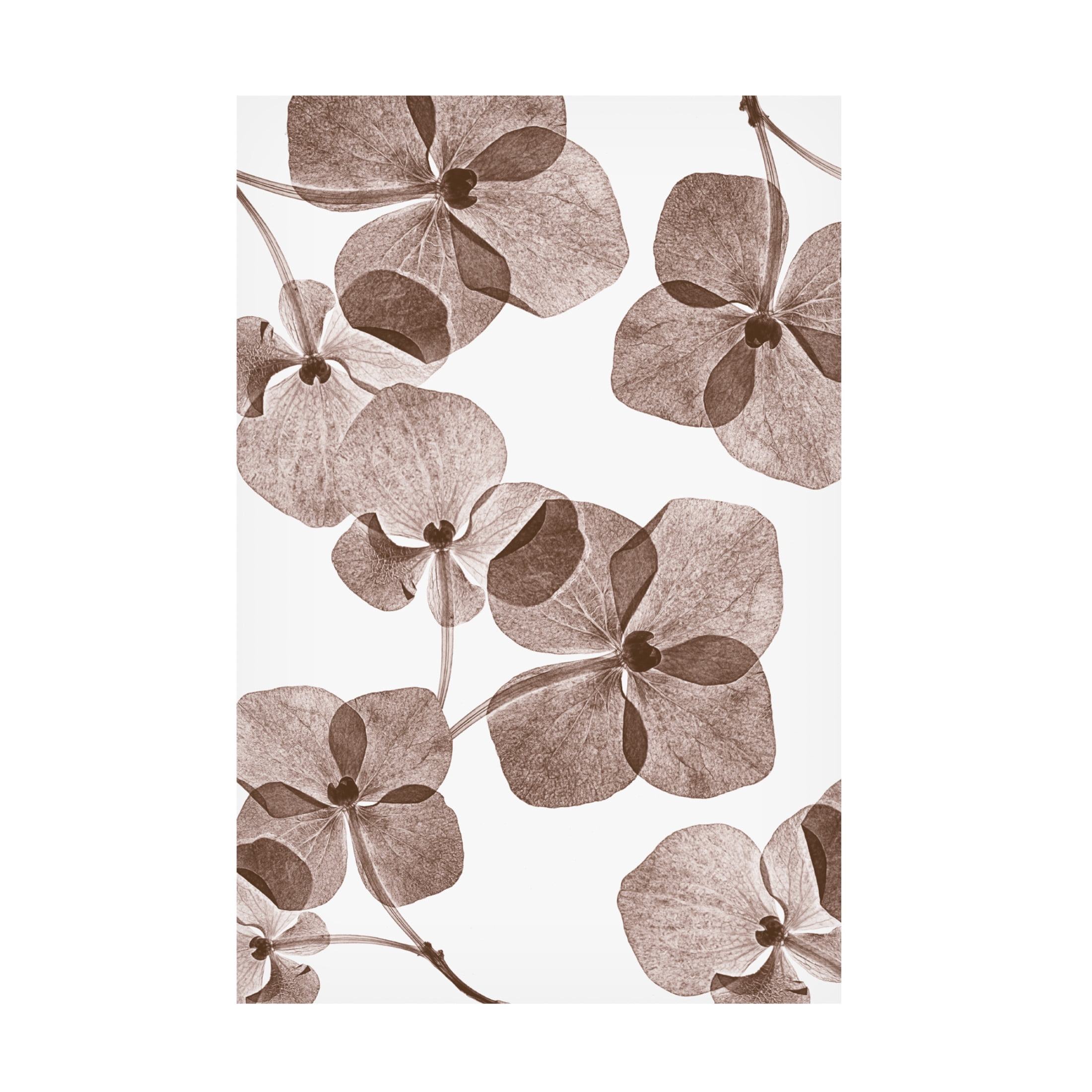 Trademark Fine Art Lenka Botanical 4 Canvas Wall Art