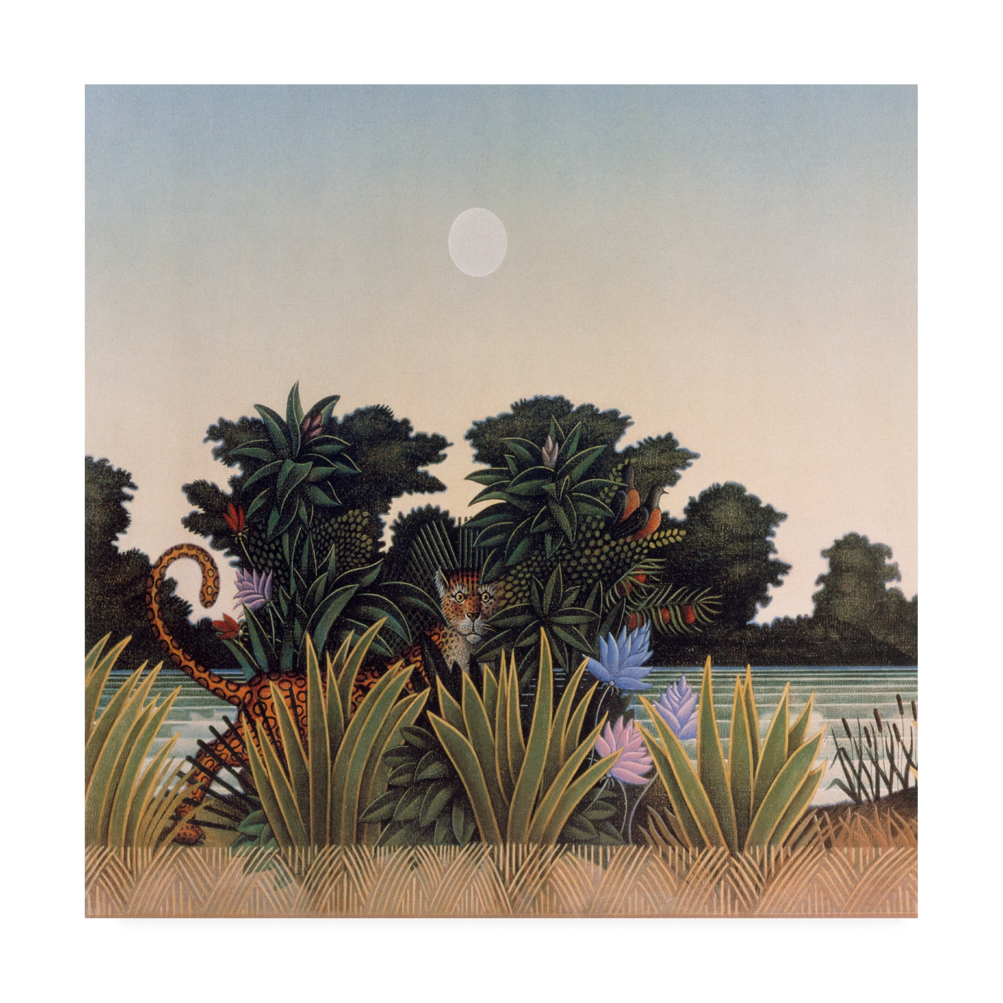 Trademark Fine Art 'Leopard Coverage' Canvas Art by Dan Craig