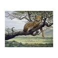 thumbnail image 1 of Trademark Fine Art 'Leopard In Tree' Canvas Art by Harro Maass, 1 of 3