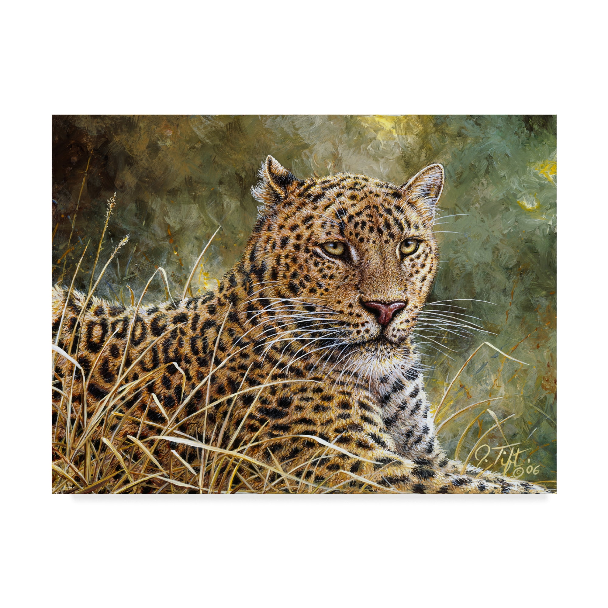 Trademark Fine Art 'Leopard Portrait' Canvas Art by Jeff Tift
