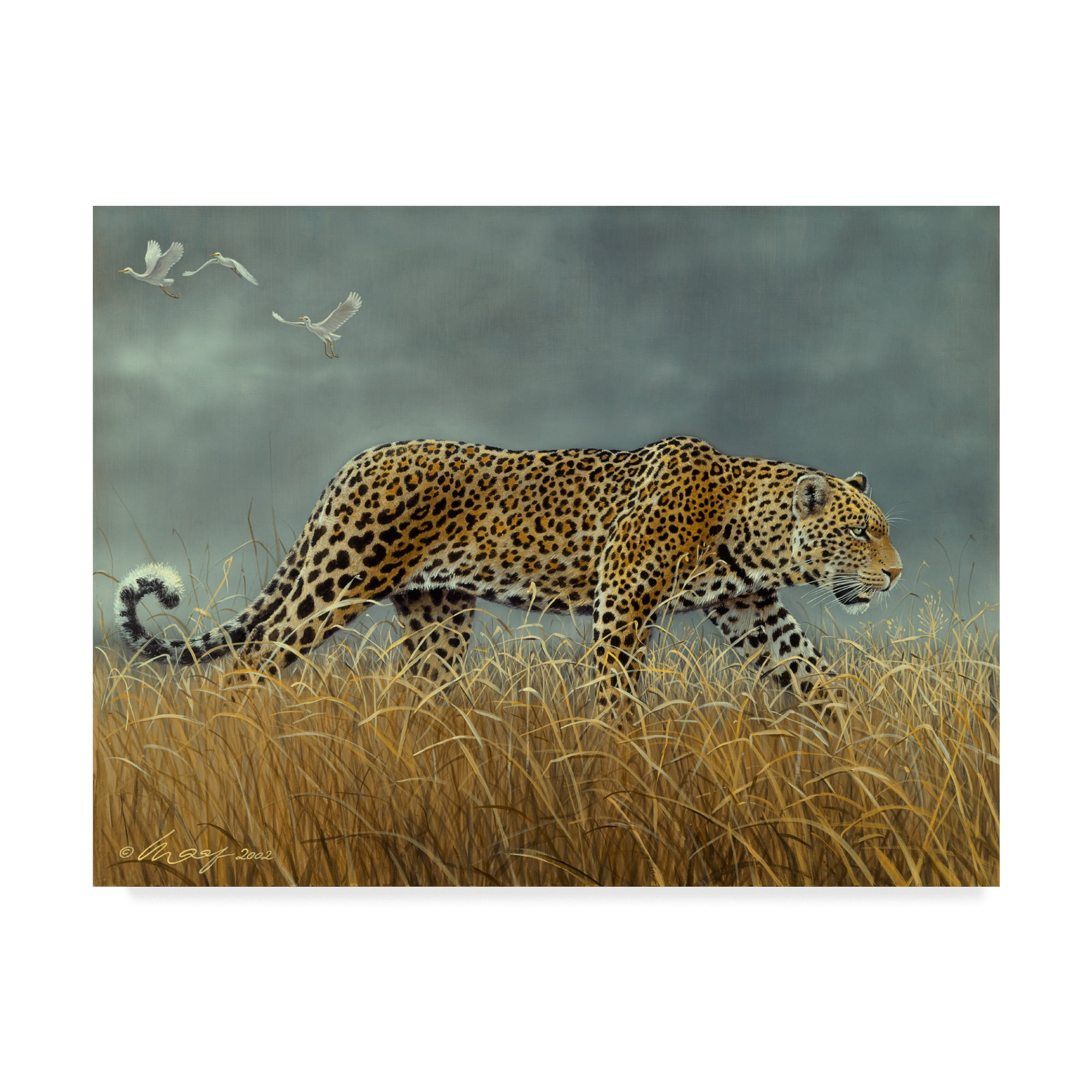 Trademark Fine Art 'Leopard Walking' Canvas Art by Harro Maass