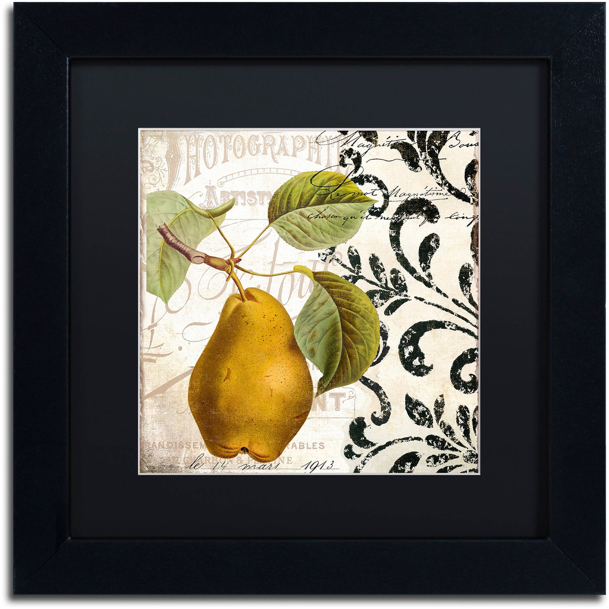 Trademark Fine Art "Les Fruits Jardin I" Canvas Art by Color Bakery Black Matte, Black Frame