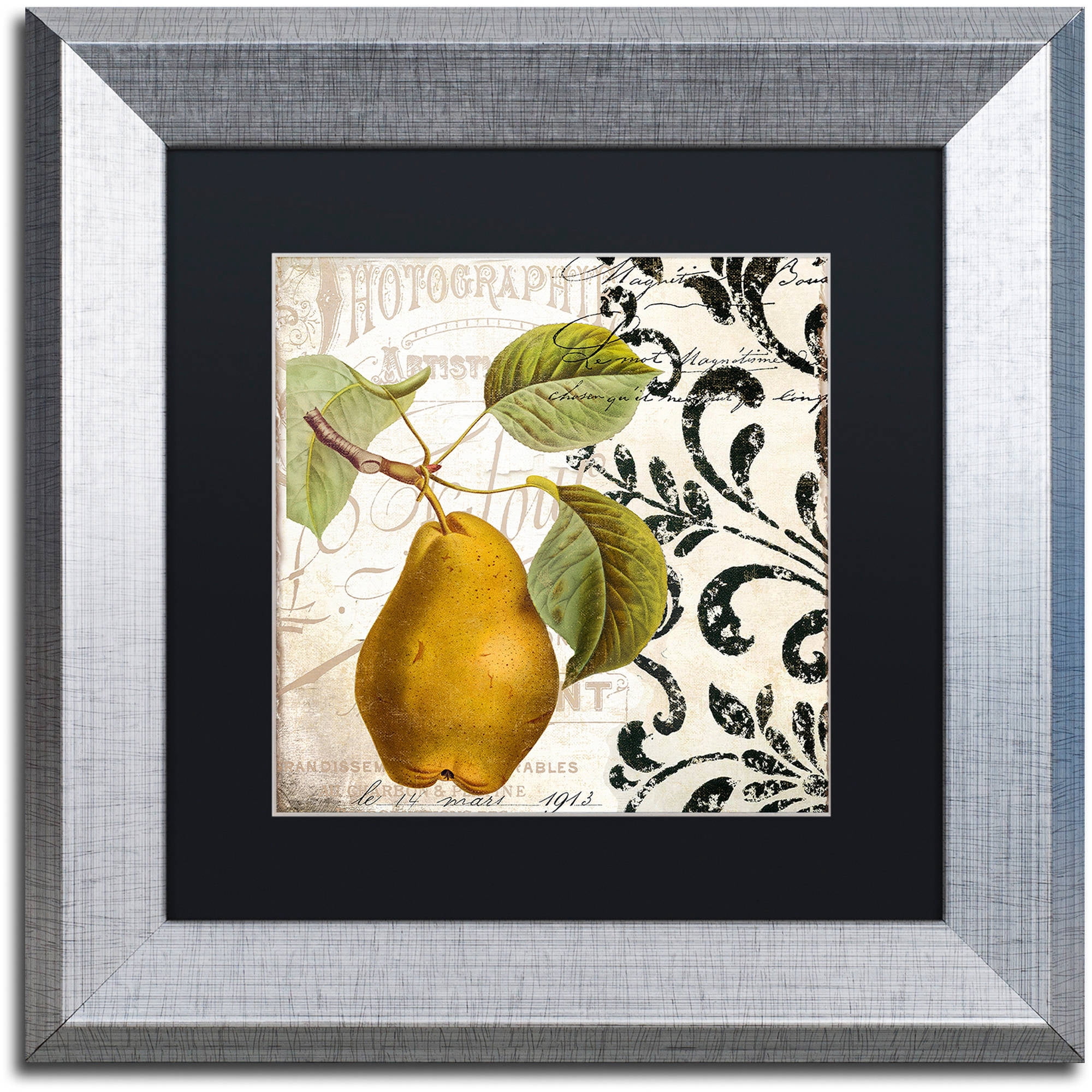 Trademark Fine Art "Les Fruits Jardin I" Canvas Art by Color Bakery Black Matte, Silver Frame