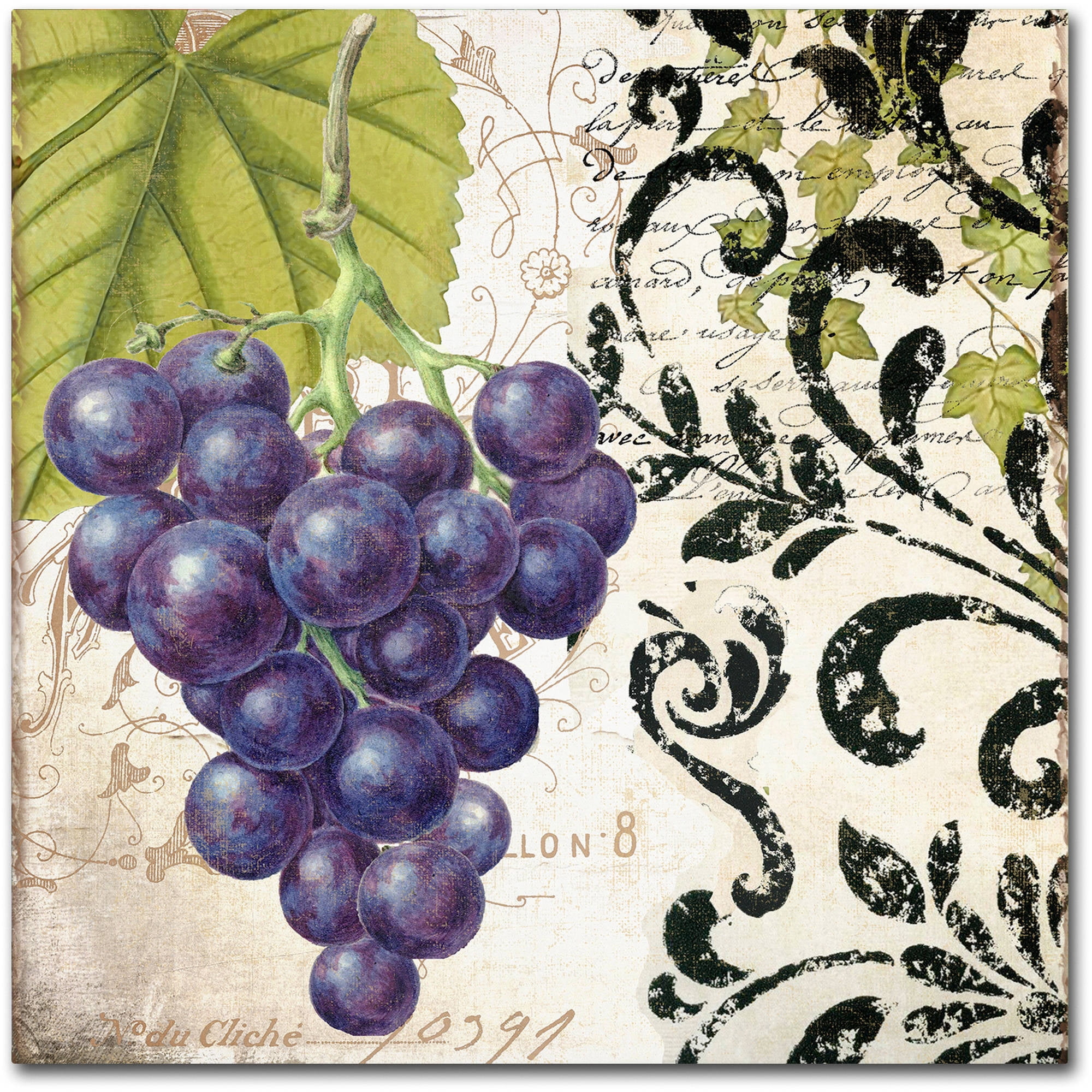 Trademark Fine Art "Les Fruits Jardin II" Canvas Art by Color Bakery