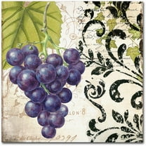 Trademark Fine Art "Les Fruits Jardin II" Canvas Art by Color Bakery