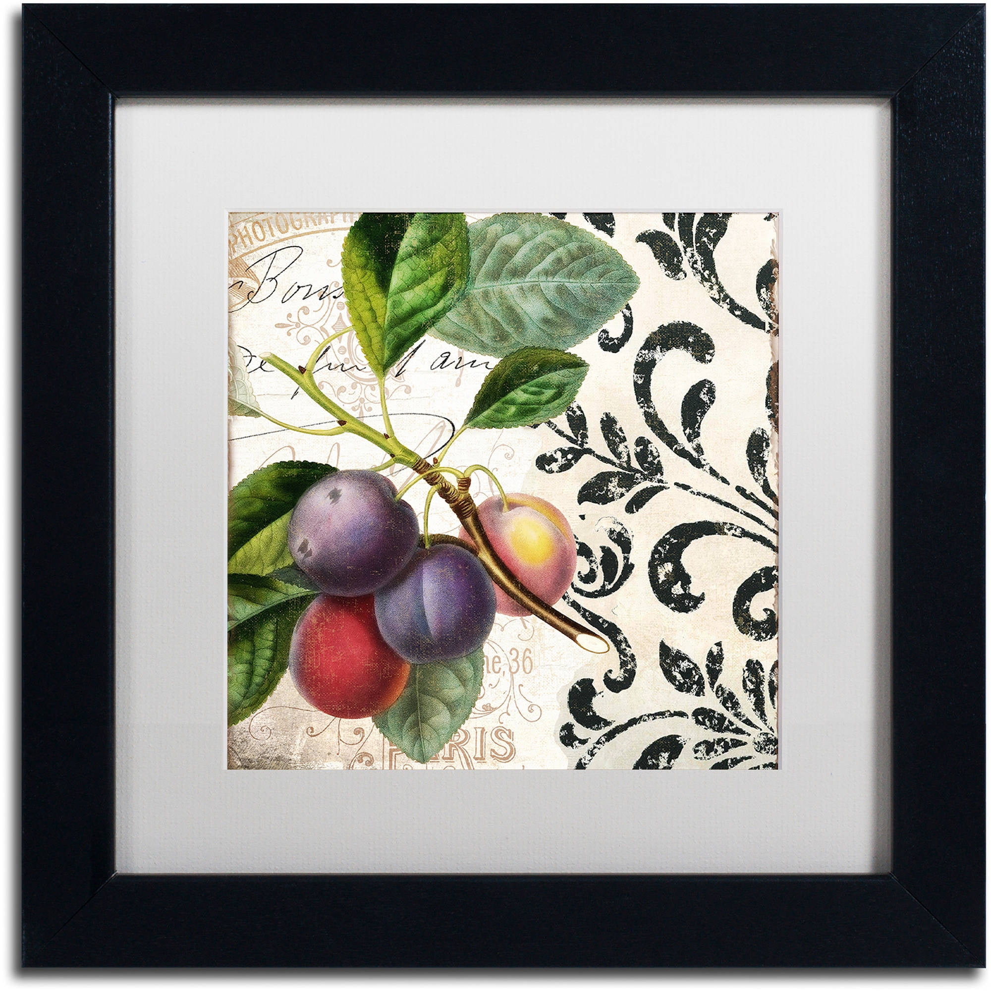 Trademark Fine Art "Les Fruits Jardin III" Canvas Art by Color Bakery White Matte, Black Frame