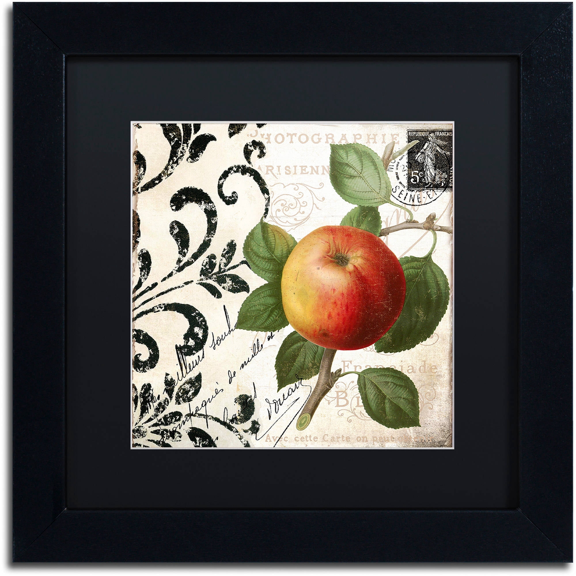 Trademark Fine Art "Les Fruits Jardin IV" Canvas Art by Color Bakery Black Matte, Black Frame