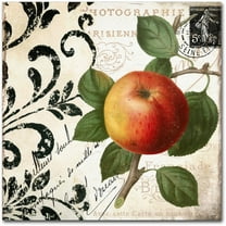 Trademark Fine Art "Les Fruits Jardin IV" Canvas Art by Color Bakery