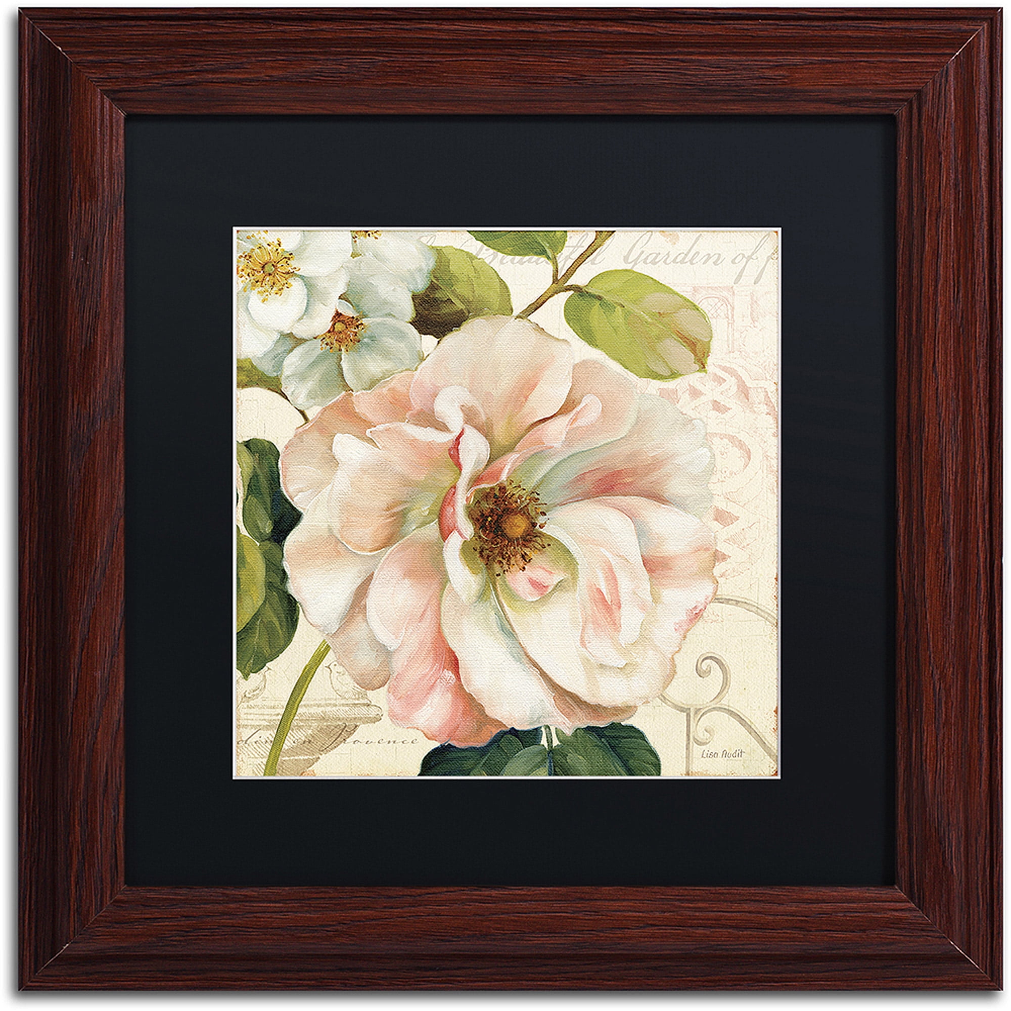 Trademark Fine Art "Les Jardin II" Canvas Art by Lisa Audit, Black Matte, Wood Frame