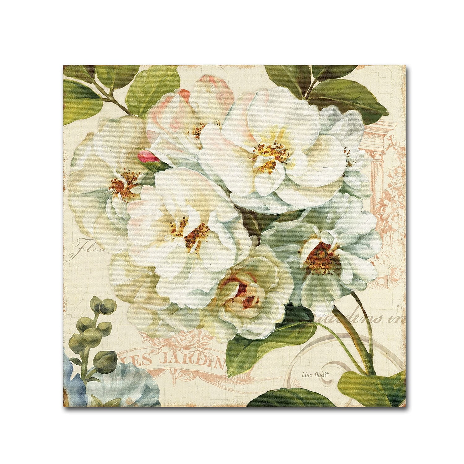 Trademark Fine Art "Les Jardin III" Canvas Art by Lisa Audit