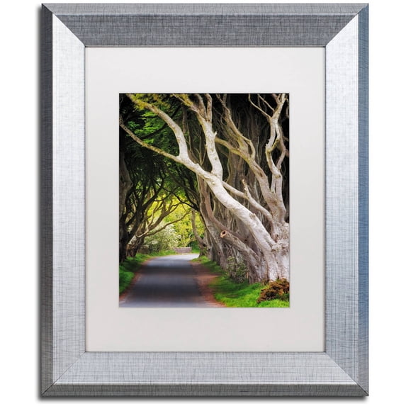 Trademark Fine Art "Let Me Be" Canvas Art by Philippe Sainte-Laudy, White Matte, Silver Frame