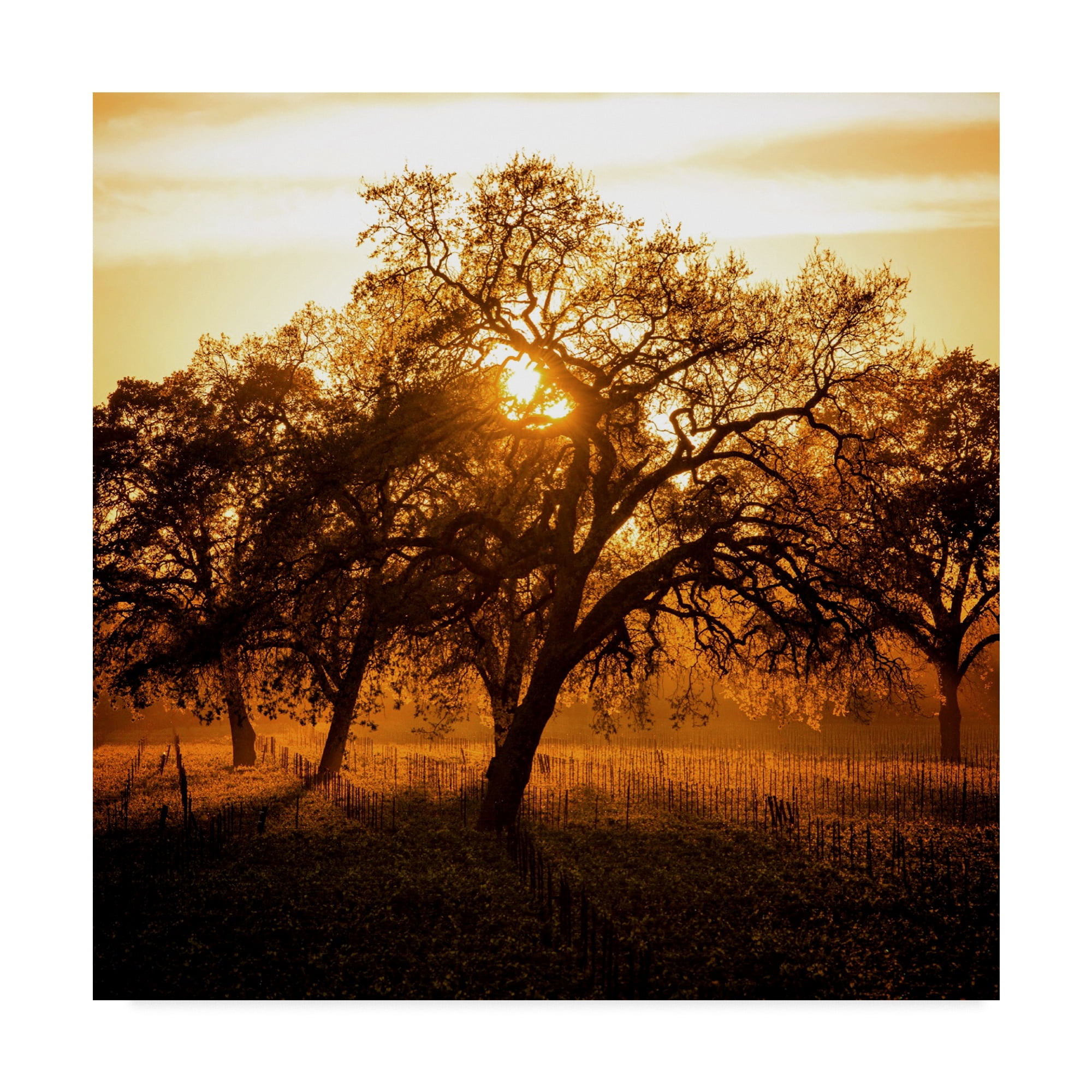 Natural Modern Framed Landscape Canvas Art, 18" x 18"