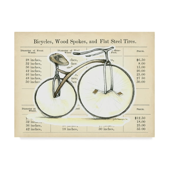 Trademark Fine Art 'Lets Go for a Spin II' Canvas Art by Jennifer Goldberger