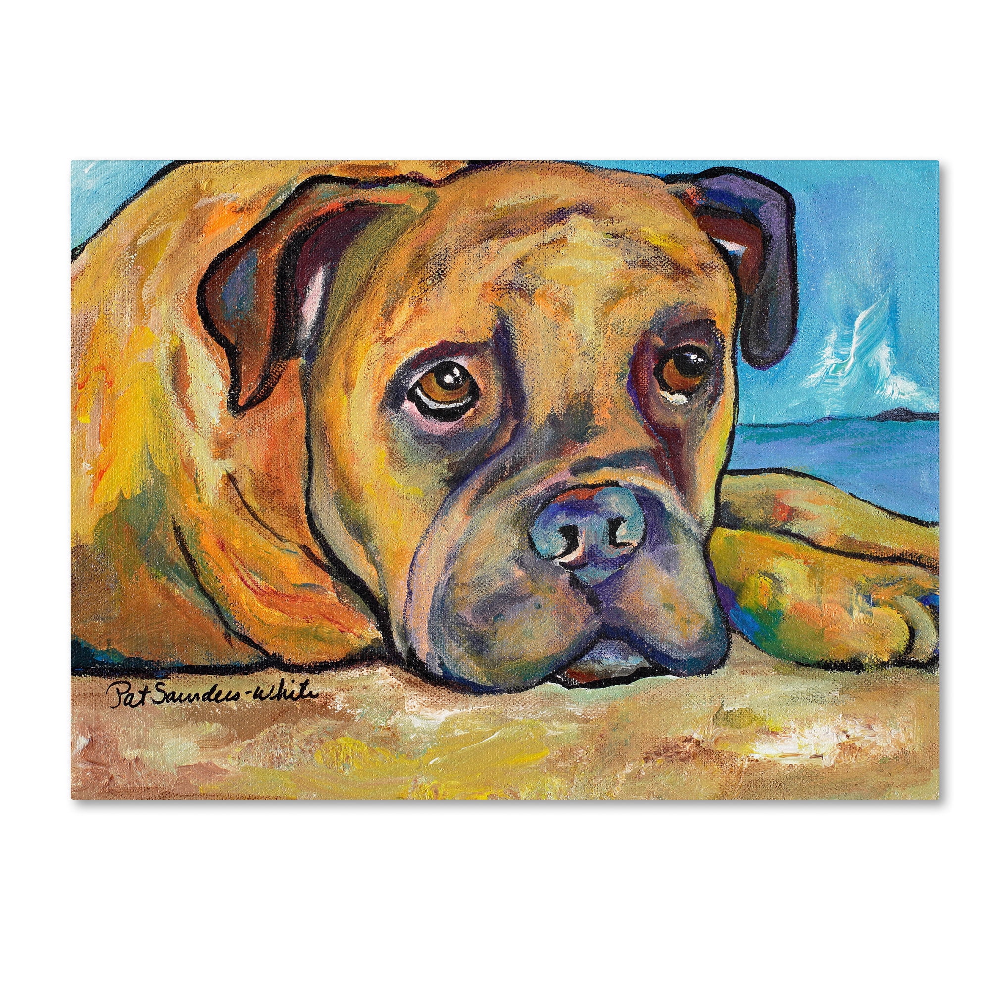 Trademark Fine Art "Lexie" Canvas Art by Pat Saunders-White