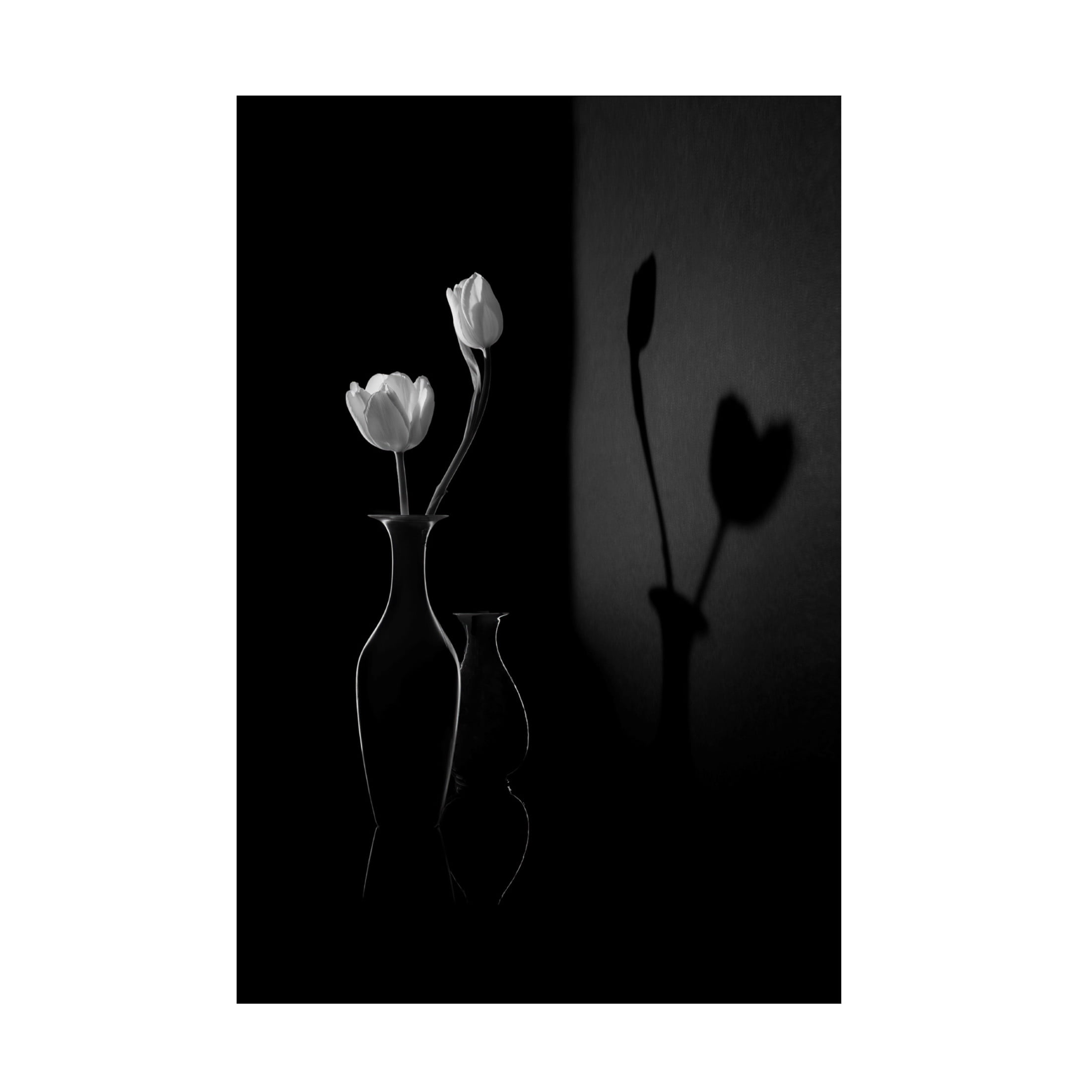 Trademark Fine Art Libby Zhang  The Shadow of Spring Canvas Wall Art
