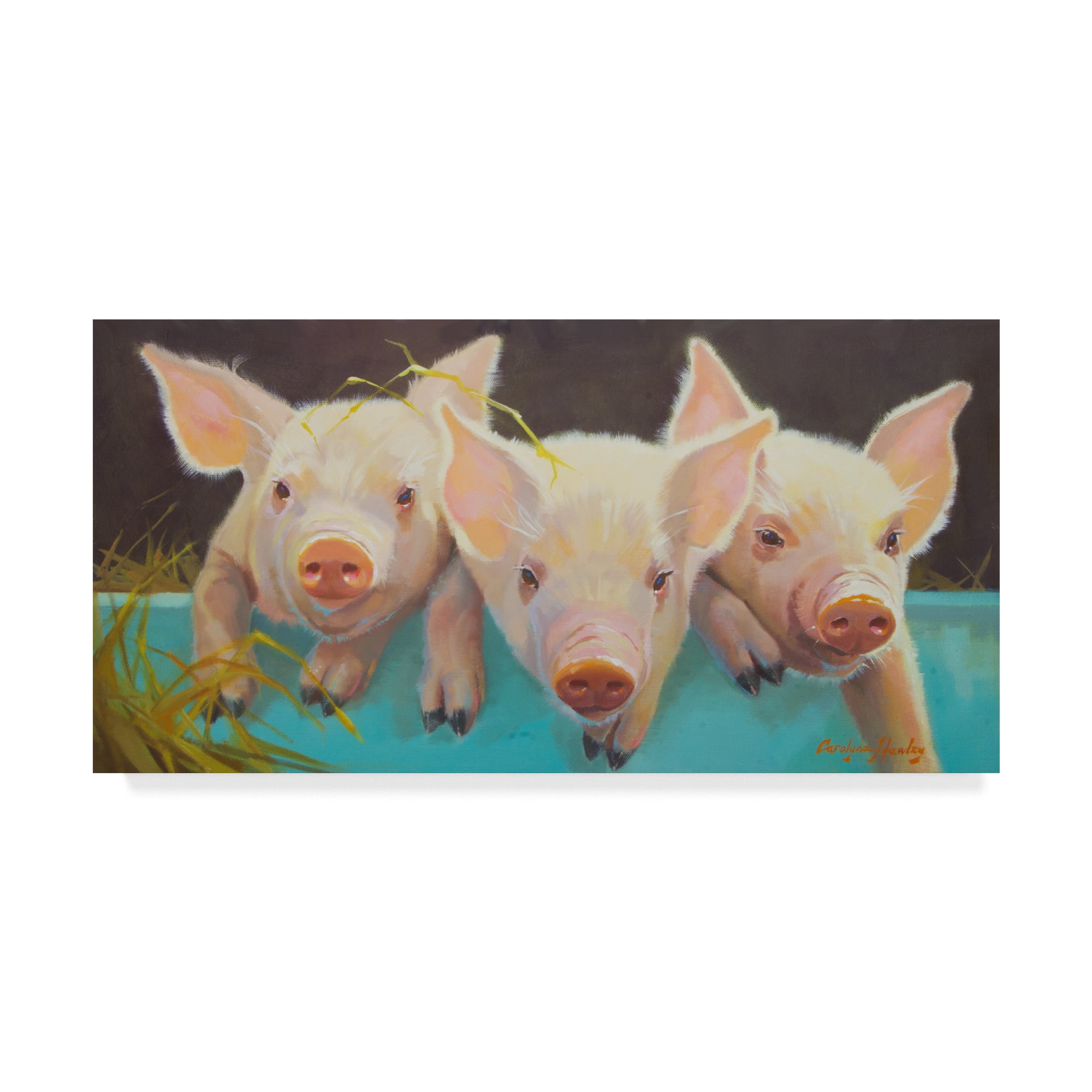 Trademark Fine Art 'Life as a Pig I' Canvas Art by Carolyne Hawley