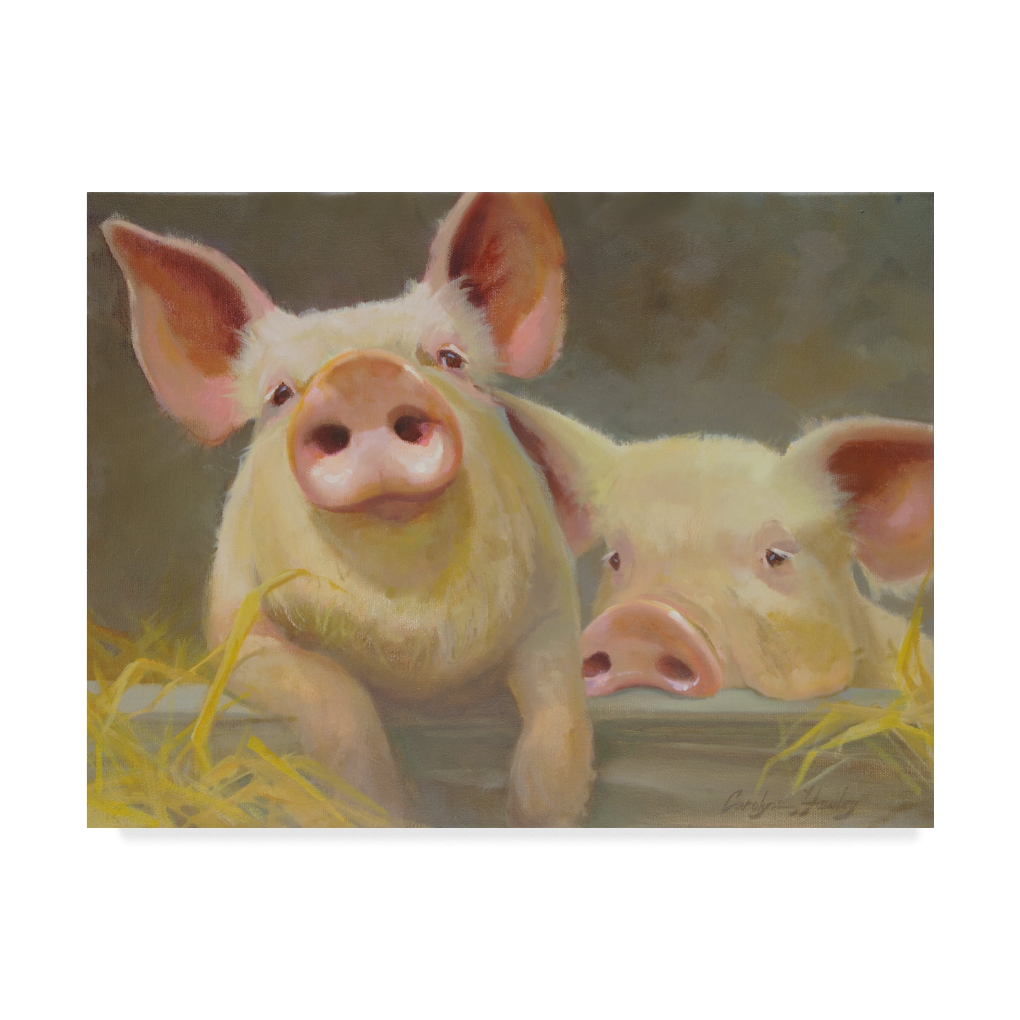 Trademark Fine Art 'Life as a Pig II' Canvas Art by Carolyne Hawley