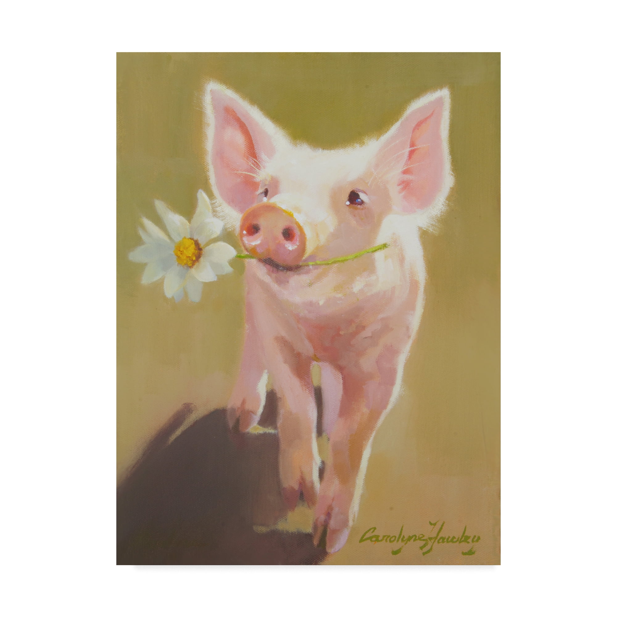 Trademark Fine Art 'Life as a Pig IV' Canvas Art by Carolyne Hawley