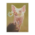 thumbnail image 1 of Trademark Fine Art 'Life as a Pig IV' Canvas Art by Carolyne Hawley, 1 of 4