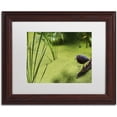 thumbnail image 1 of Trademark Fine Art "Life in the Marsh" Canvas Art by Kurt Shaffer, White Matte, Wood Frame, 1 of 1