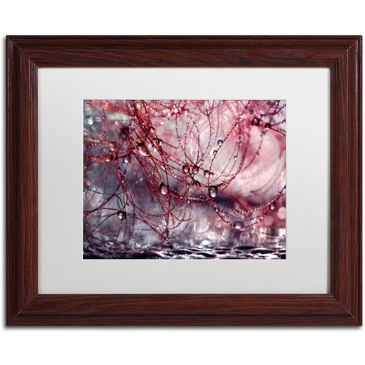 Trademark Fine Art "Life is Not Simple" Canvas Art by Beata Czyzowska Young, White Matte, Wood Frame