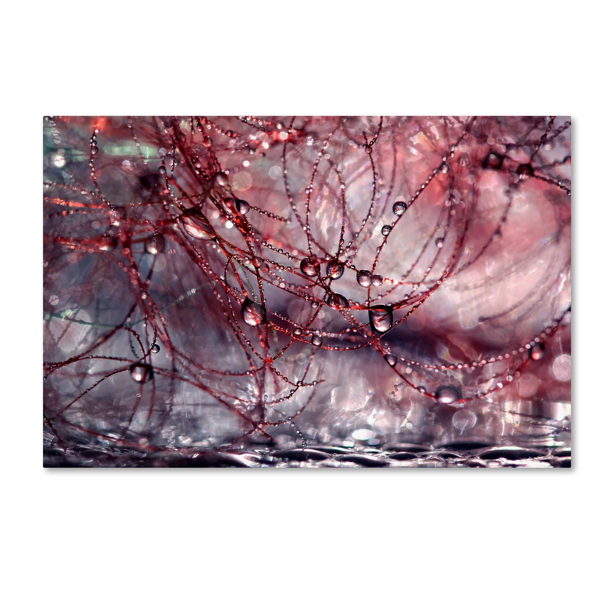 Trademark Fine Art "Life is Not Simple" Canvas Art by Beata Czyzowska Young