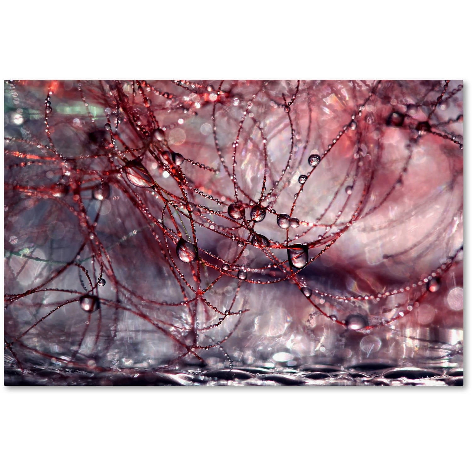 Trademark Fine Art "Life is Not Simple" Canvas Art by Beata Czyzowska Young