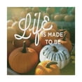 thumbnail image 1 of Trademark Fine Art 'Life is Unique' Canvas Art by Sue Schlabach, 1 of 3