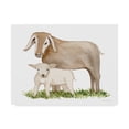 thumbnail image 1 of Trademark Fine Art 'Life on the Farm Animal Element II' Canvas Art by Kathleen Parr McKenna, 1 of 3