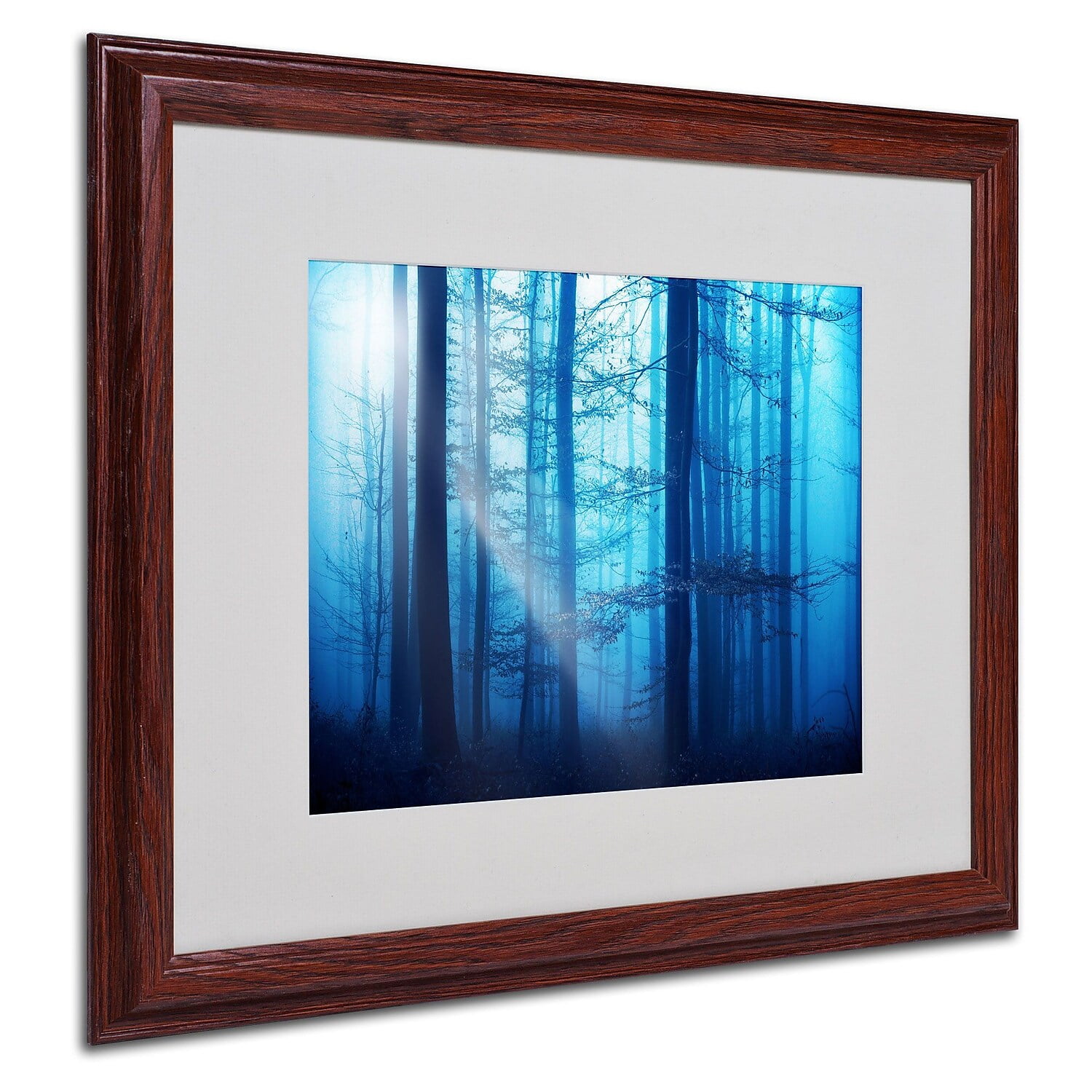 Trademark Fine Art "Light Box Blues" Canvas Art by Philippe Sainte-Laudy, Wood Frame