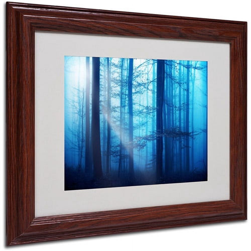 Trademark Fine Art "Light Box Blues" Canvas Art by Philippe Sainte-Laudy, Wood Frame