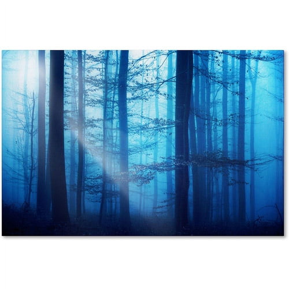 Trademark Fine Art "Light Box Blues" Canvas Art by Philippe Sainte-Laudy