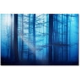 thumbnail image 1 of Trademark Fine Art "Light Box Blues" Canvas Art by Philippe Sainte-Laudy, 1 of 4