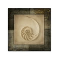thumbnail image 1 of Trademark Fine Art 'Light Gold Sea Warm' Canvas Art by LightBoxJournal, 1 of 3