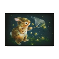 Trademark Fine Art 'Light Show' Canvas Art by Peggy Harris