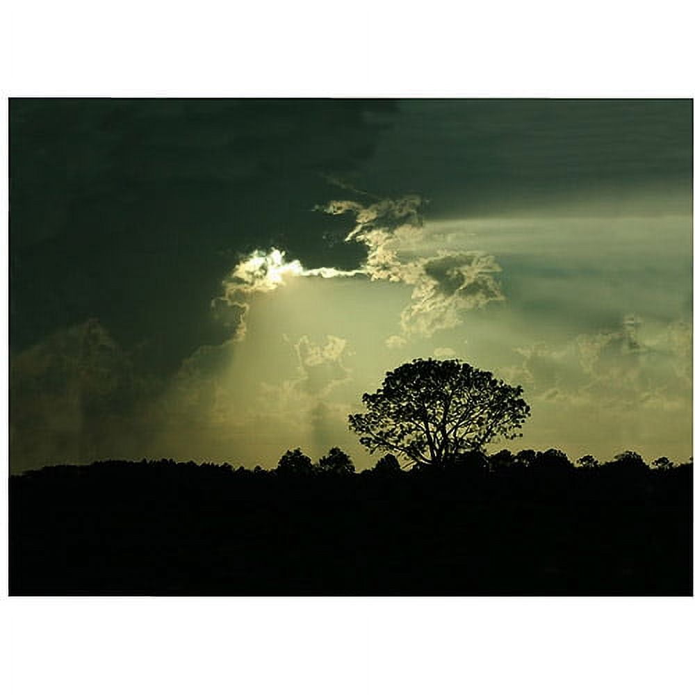 Trademark Fine Art "Light and Dark" Canvas Art by Patty Tuggle Pat