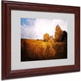 thumbnail image 1 of Trademark Fine Art "Light in Vineyards" Canvas Art by Philippe Sainte-Laudy, Wood Frame, 1 of 3