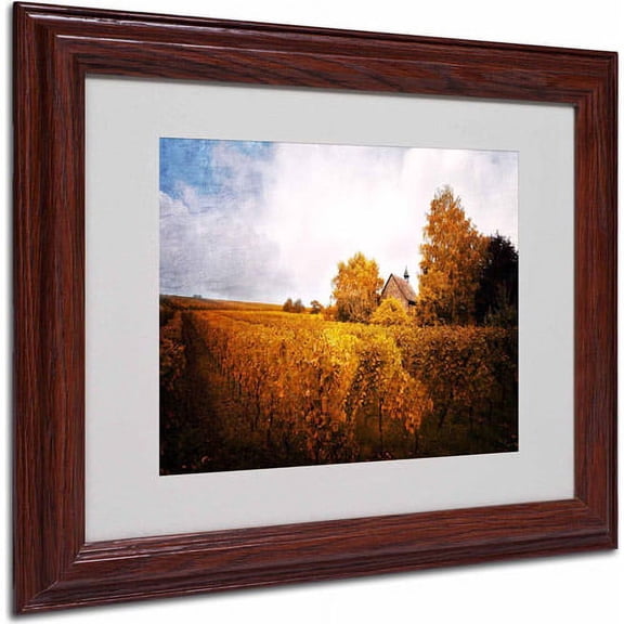 Trademark Fine Art "Light in Vineyards" Canvas Art by Philippe Sainte-Laudy, Wood Frame