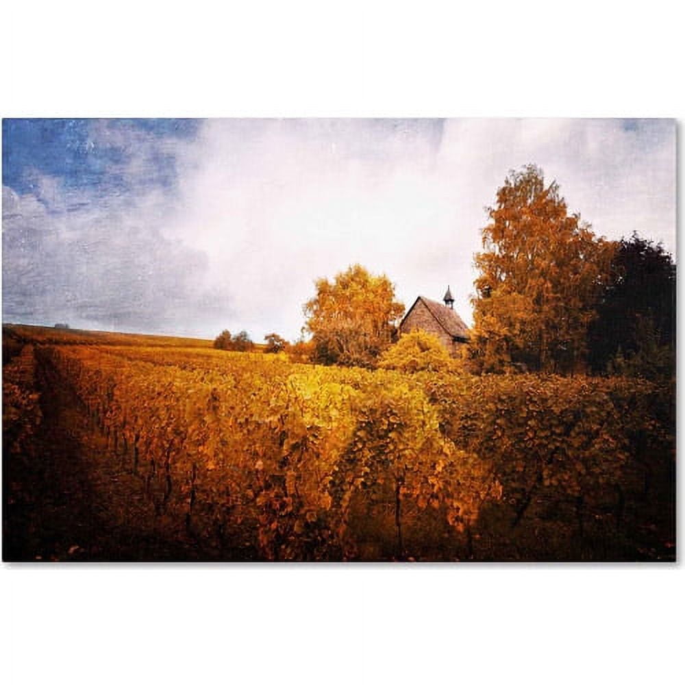 Golden Vineyard Landscape Framed Canvas Print, 19" x 19"
