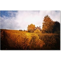 Trademark Fine Art "Light in Vineyards" Canvas Art by Philippe Sainte-Laudy