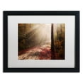 thumbnail image 1 of Trademark Fine Art 'Light in the Forest' Canvas Art by Michael Blanchette Photography, White Matte, Black Frame, 1 of 3